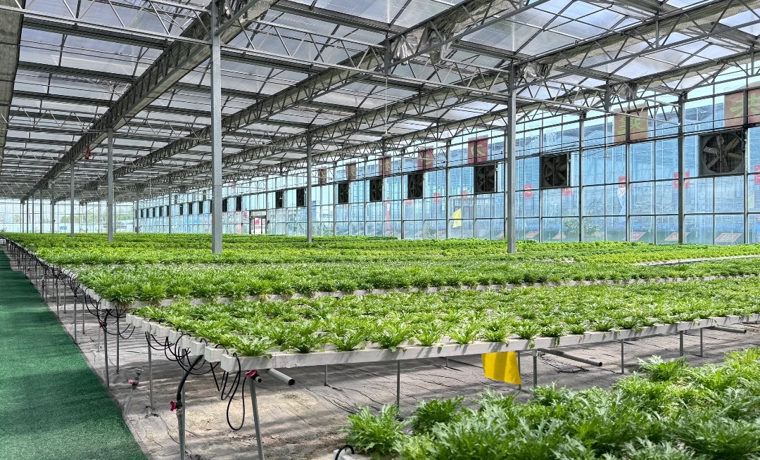 fd6905ae1d9ca7c761b65c8abed50909