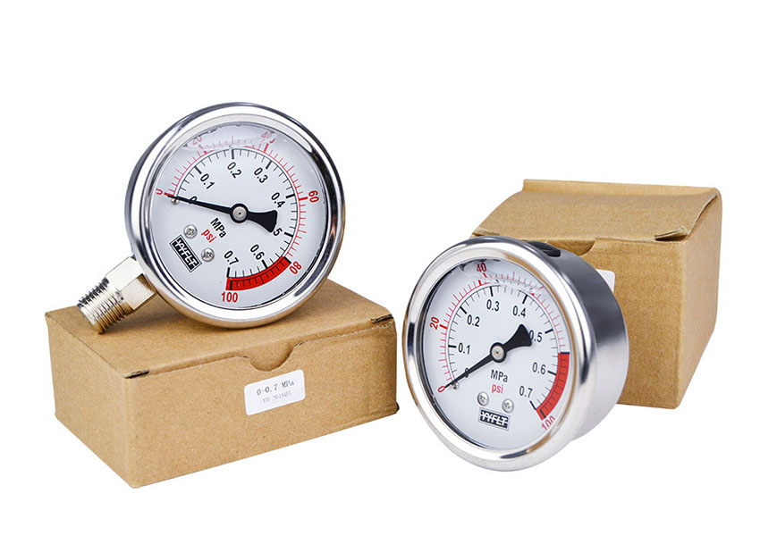 Electric Pressure Gauge (5)