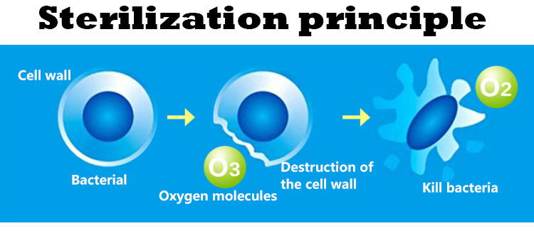 Ozone generator principle