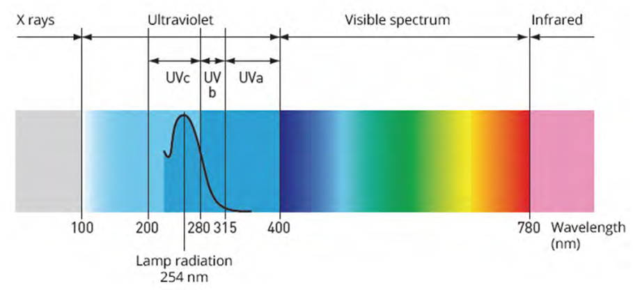 How Uv Sterilizers Work？ Amanda Water Tech Inc