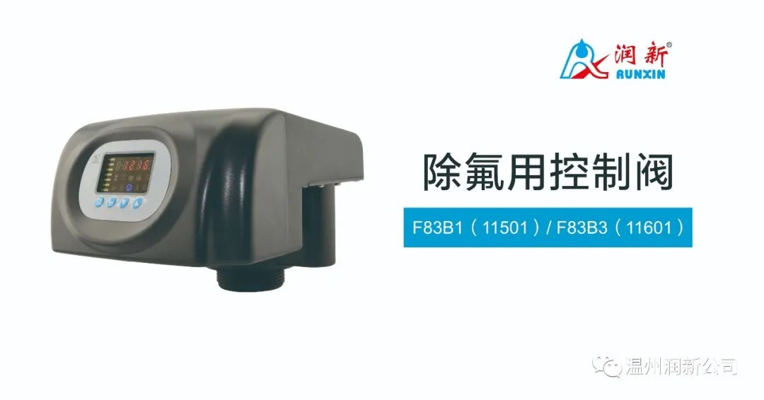 F83B control valve for fluoride removal