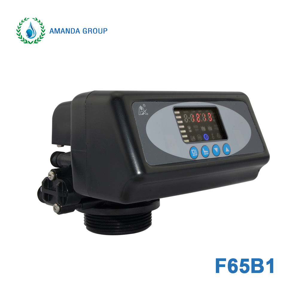 F65B1 Automatic Softener Valve