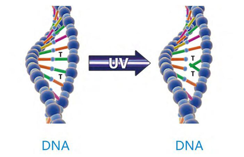 UV Water Sterilizer