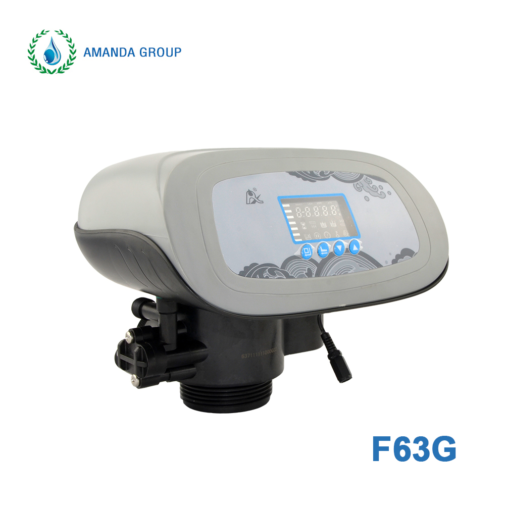 F63G Automatic Multiport Softener Valve
