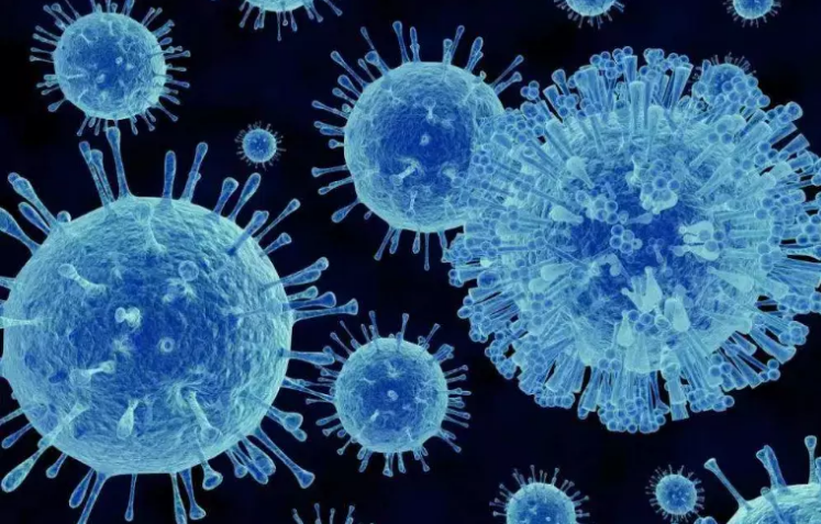  ozone can inactivate COVID 19 for disinfection