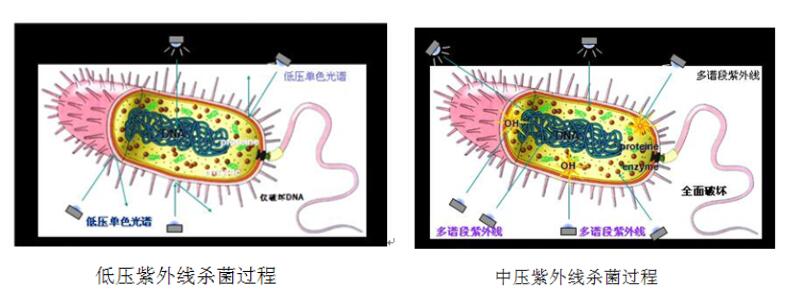 The difference between medium-pressure UVC and low-pressure UVC sterilizers